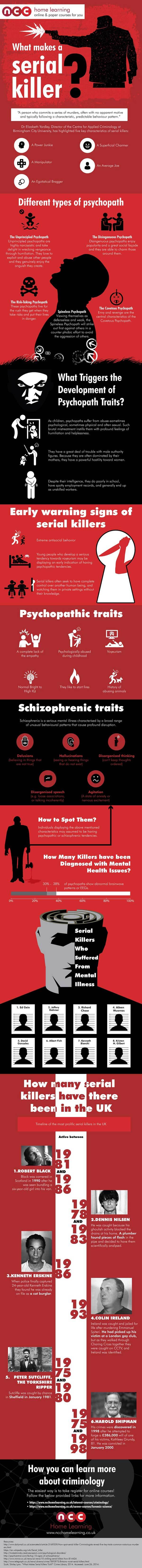 What makes a serial killer infographic