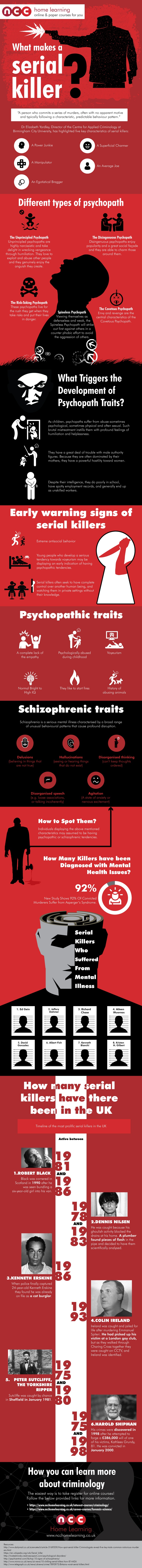 What makes a serial killer infographic