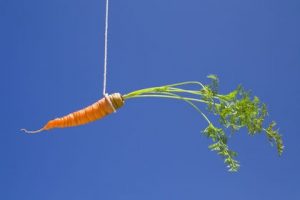 carrot dangling from a string