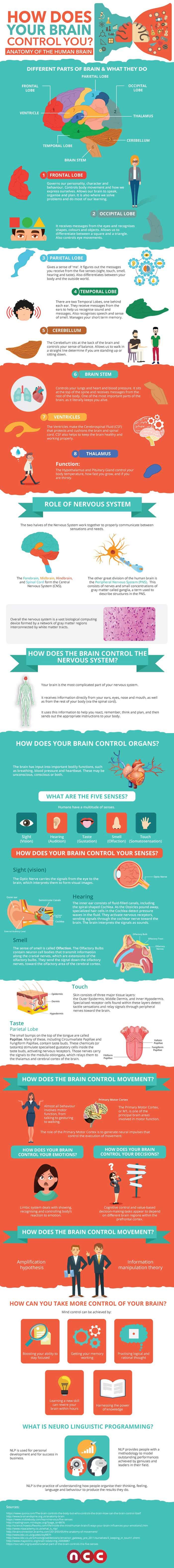 How Does Your Brain Control You