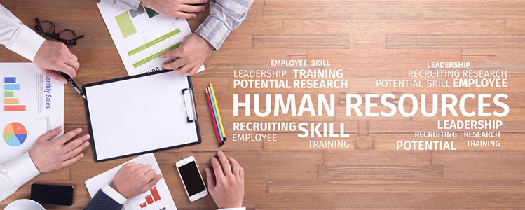 Human Resources (HR) Manager