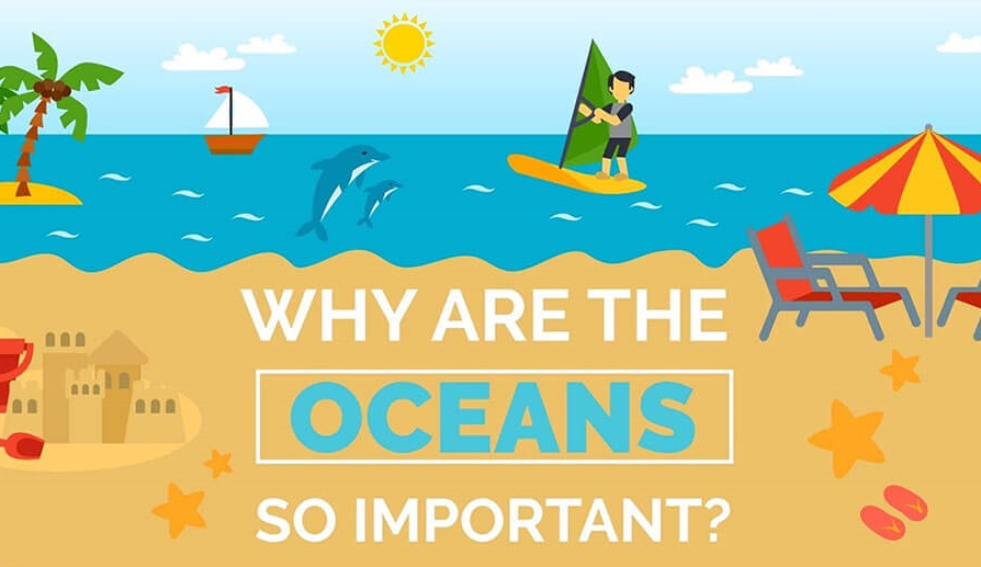 Why Are Oceans So Important Infographic