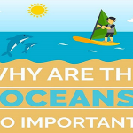 Why Are The Oceans So Important