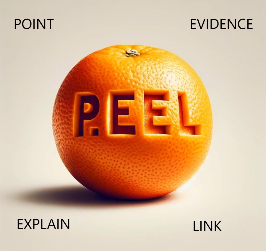 Peel paragraphs explained on an image of an orange - point, evidence, explain, link