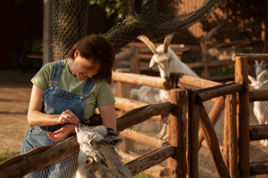 working with animals as one of the skills as a volunteer