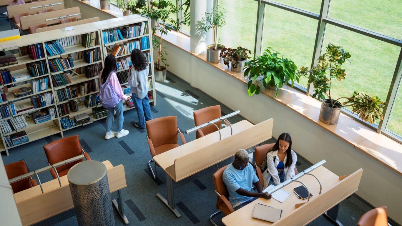 students studying in library