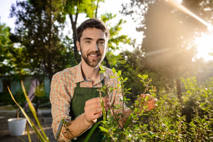 low stress jobs gardener